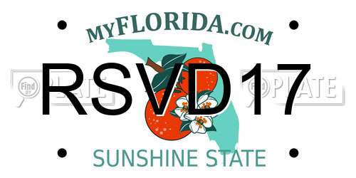 RSVD17 Florida License Plate