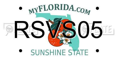 RSVS05 Florida License Plate