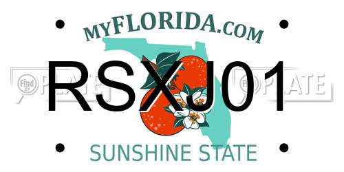 RSXJ01 Florida License Plate