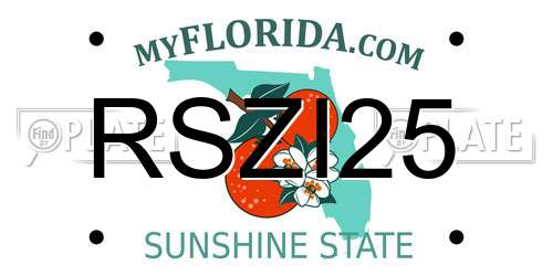 RSZI25 Florida License Plate