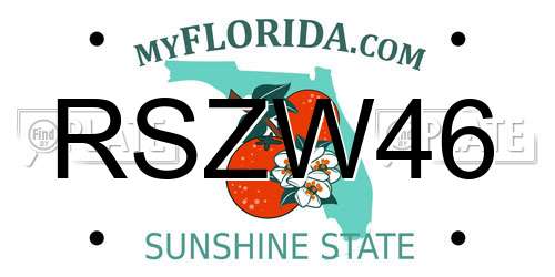 RSZW46 Florida License Plate