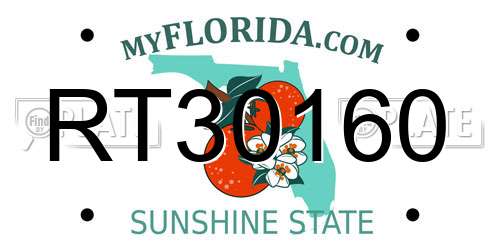 RT30160 Florida License Plate