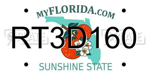 RT3D160 Florida License Plate