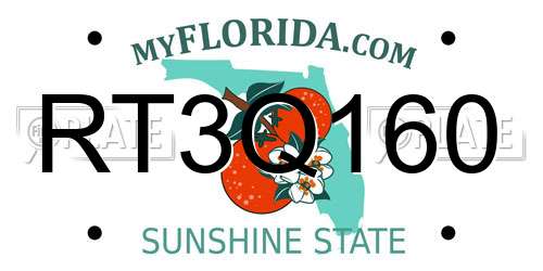 RT3Q160 Florida License Plate