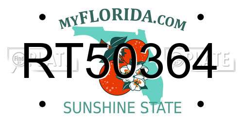RT50364 Florida License Plate