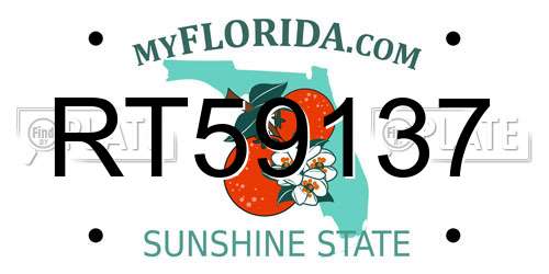 RT59137 Florida License Plate