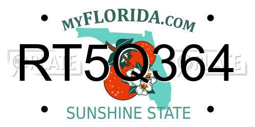 RT5Q364 Florida License Plate