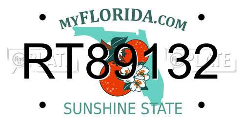 RT89132 Florida License Plate