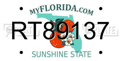 RT89137 Florida License Plate