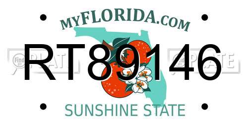 RT89146 Florida License Plate