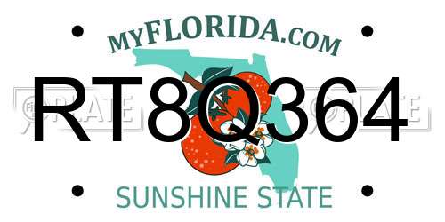 RT8Q364 Florida License Plate