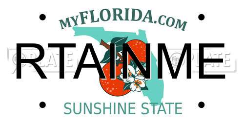 RTAINME Florida License Plate
