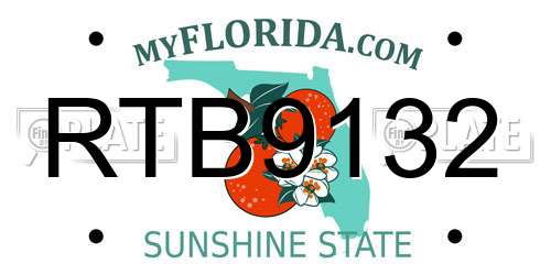 RTB9132 Florida License Plate