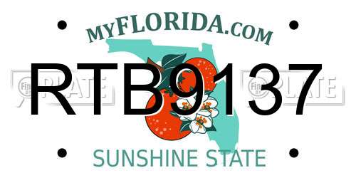 RTB9137 Florida License Plate