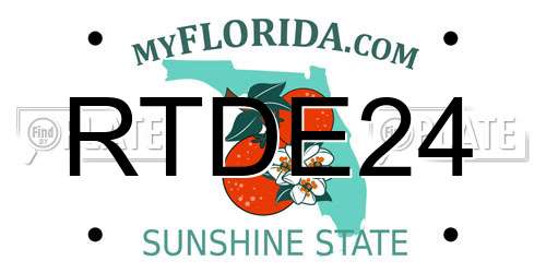 RTDE24 Florida License Plate