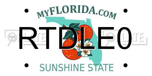 RTDLE0 Florida License Plate
