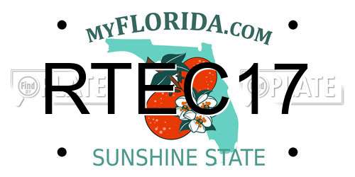 RTEC17 Florida License Plate