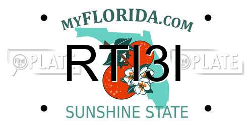 RTI3I Florida License Plate