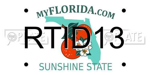 RTID13 Florida License Plate