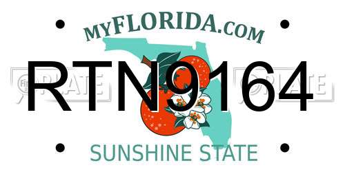 RTN9164 Florida License Plate