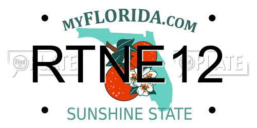 RTNE12 Florida License Plate