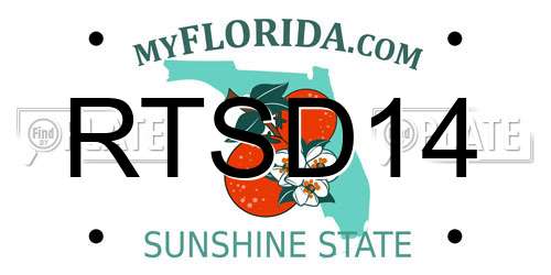 RTSD14 Florida License Plate