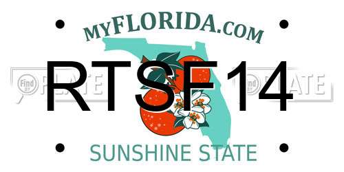 RTSF14 Florida License Plate