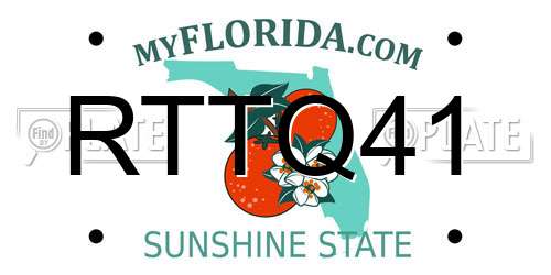 RTTQ41 Florida License Plate