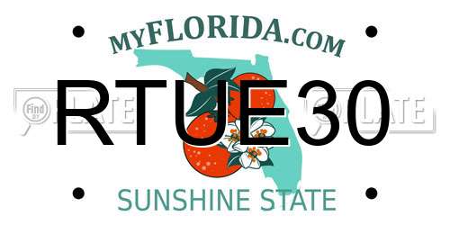 RTUE30 Florida License Plate