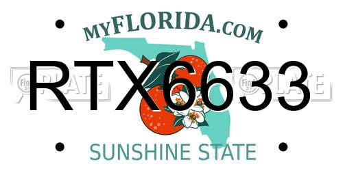 RTX6633 Florida License Plate