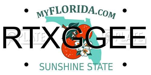 RTXGGEE Florida License Plate