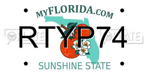 RTYP74 Florida License Plate