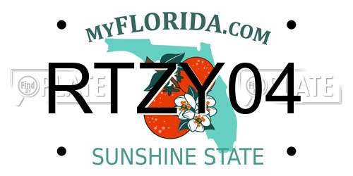 RTZY04 Florida License Plate