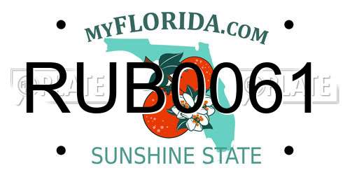 RUB0061 Florida License Plate