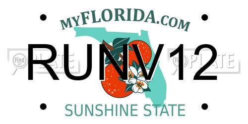 RUNV12 Florida License Plate