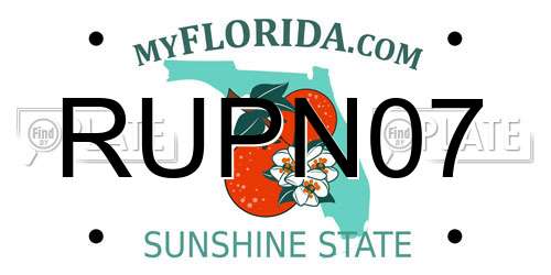 RUPN07 Florida License Plate