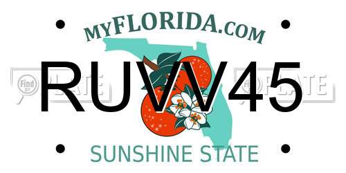 RUVV45 Florida License Plate