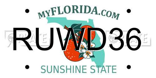 RUWD36 Florida License Plate