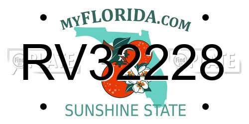 RV32228 Florida License Plate