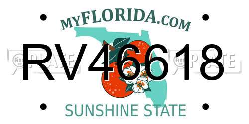RV46618 Florida License Plate