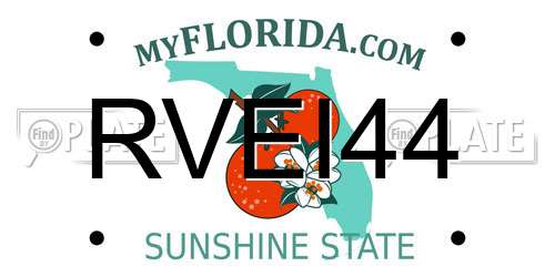 RVEI44 Florida License Plate