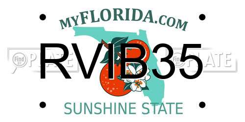 RVIB35 Florida License Plate