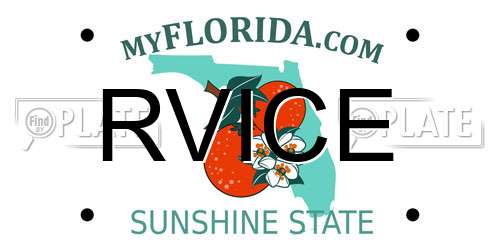 RVICE Florida License Plate
