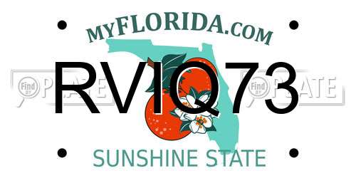 RVIQ73 Florida License Plate