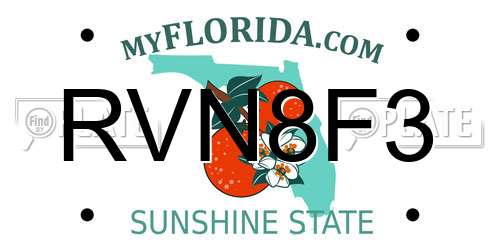 RVN8F3 Florida License Plate