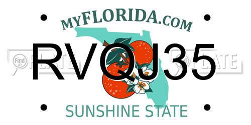 RVQJ35 Florida License Plate