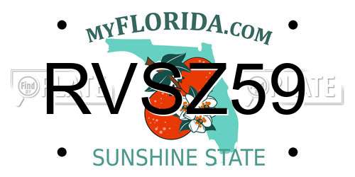 RVSZ59 Florida License Plate