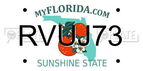 RVUJ73 Florida License Plate