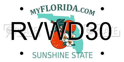 RVWD30 Florida License Plate