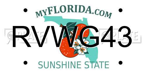 RVWG43 Florida License Plate